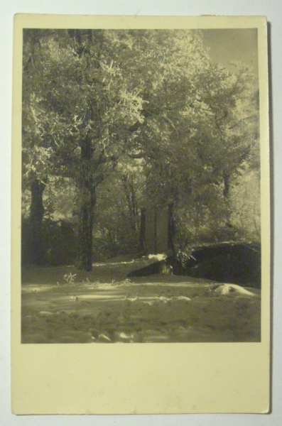 Ansichtskarte Waldlichtung (1932)